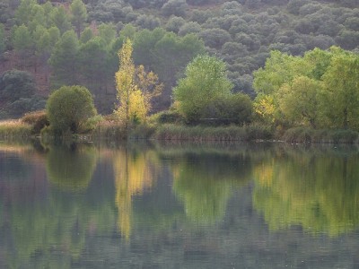 P1550096.JPG