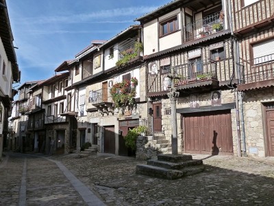 P1560141.JPG