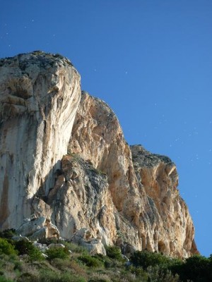 P1000863.JPG