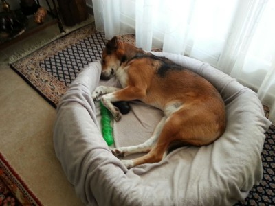 IMG-20160825-WA0000.jpg