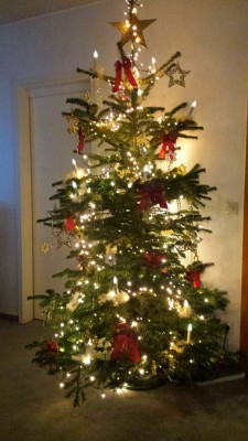 Weihnachten baum.jpg