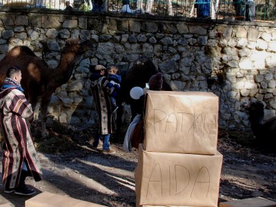 &quot;Kameltreiber&quot; mit ihren Dromedaren
