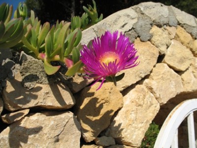 Calpe2.jpg