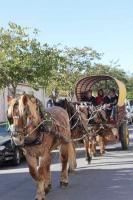 2b - 1.jpg (30.15 KiB) 2196 mal betrachtet angeführt von bunt geschmückten Pferdewagen