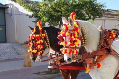 2c - 1.jpg (31.07 KiB) 2369 mal betrachtet auch die Pferde waren beim Friseur