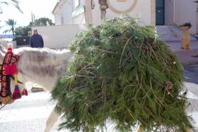 2d - 1.jpg (29.05 KiB) 2196 mal betrachtet ein wenig von der Pinie