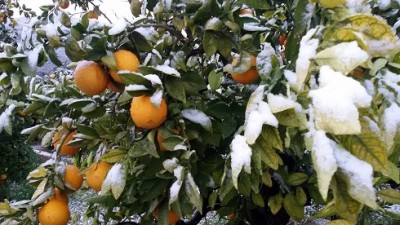 20170118_084110-2.jpg