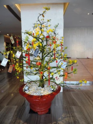Geschmckter Weihnachtsbaum.JPG (57.12 KiB) 4788 mal betrachtet und wie es sich gehört:<br />mit geschmücktem Baum