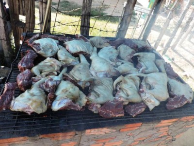 DSCN8476 Hund.JPG (63.55 KiB) 6137 mal betrachtet Es werden nicht nur Schlangen, Frösche, Ratten, <br />Taranteln (hmm, leckerlecker, meinte unser guide) <br />verzehrt, sondern auch wie hier: Hundefleisch frisch <br />vom Grill....