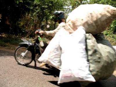 Mit dem Moped werden auch große Lasten befördert.<br />Leider drücke ich immer zu spät auf den Auslöser...