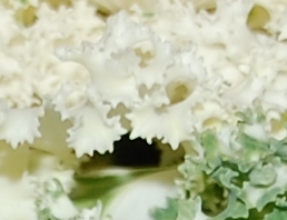 2. Ausschnitt aus einer anderen Perspektive. Es ist also essbar.