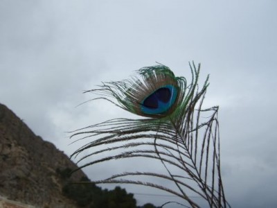 CB-Forum, Ratebild 02c.jpg