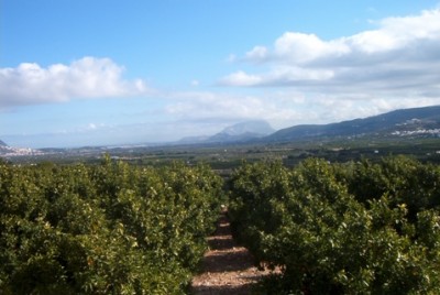 Tormos Ausblick.jpg