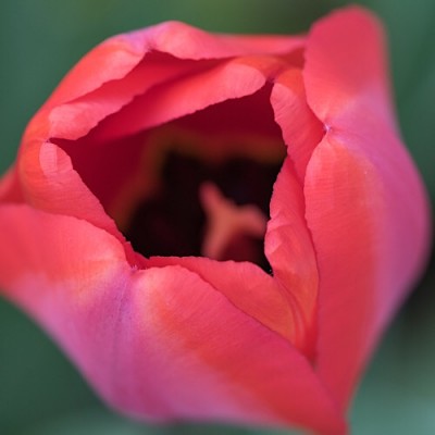 IMG_6423.jpg