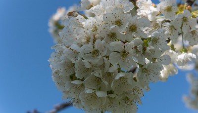 IMG_3211.jpg