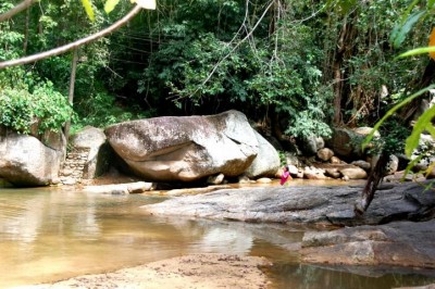 erfrischendes Bad im Dschungel