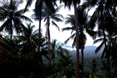 Blick aus dem Hochland hinab aufs Meer