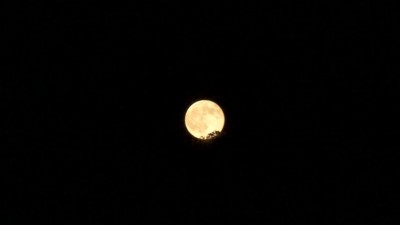 K640_DSC06210.JPG