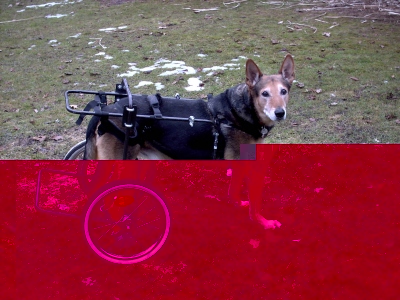 Chico mit Wagen4.jpg