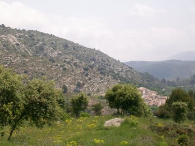 Tollos - am Fuß der Sierra Almudaina