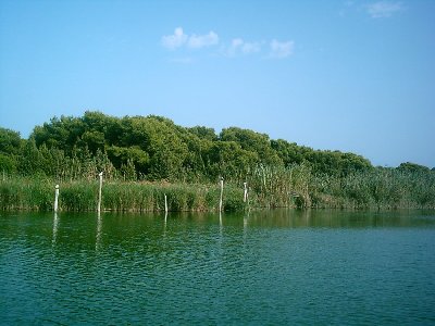 La Albufera.JPG