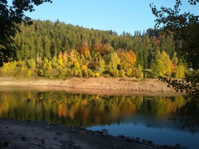 Herbstwald 02.jpg