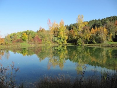 Herbst.jpg