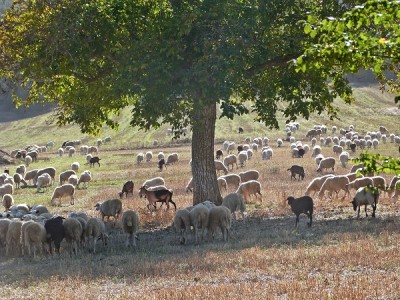 P1650039.JPG