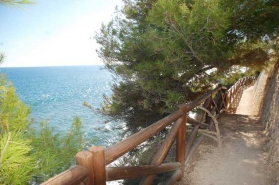 00 sehr gepflegter Abschnitt DSC_0003.JPG (72.79 KiB) 1857 mal betrachtet Auch nach Jahren noch gepflegte Wege