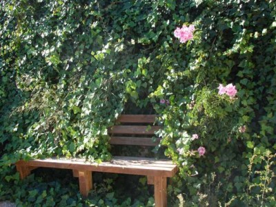 5 romantisch zugewachsenen Bänken DSC_0887.JPG (87.82 KiB) 1857 mal betrachtet romantisch zugewachsenen Bänken,