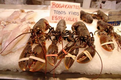 Bogavantes