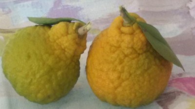 20171214_160639-2.jpg