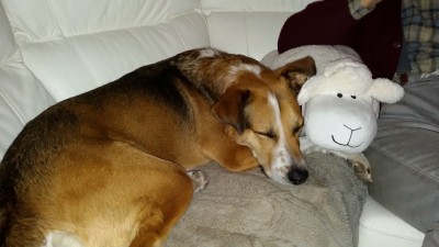 20171203_200545-3.jpg (93.45 KiB) 5182 mal betrachtet Sein Weihnachtsgeschenk
