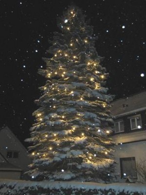 Weihnachtsbaum Nacht.jpg
