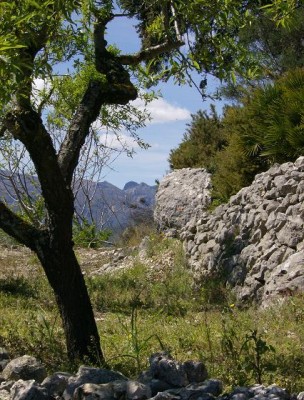 Einsamkeit und himmlische Ruhe