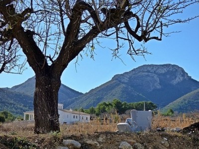 P1000004.JPG