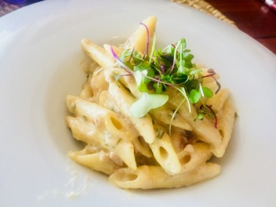 IMG_6630.JPG (81.98 KiB) 9015 mal betrachtet Zweiter Gang: <br />Wahlweise Penne mit Gorgonzolasauce und Nüssen