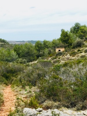 IMG_6846.JPG