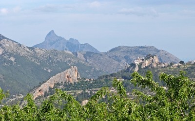 P1590650.JPG