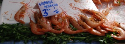 Gambas.JPG