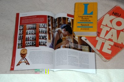 Wörterbuch und Grammatik, unentbehrliche Utensilien zum Erlernen einer Fremdsprache