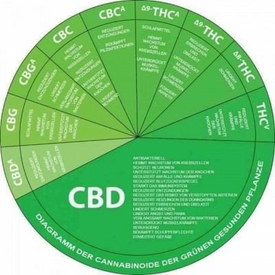 CBD ÖL.jpg