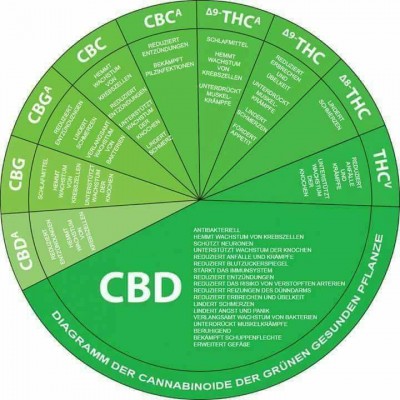 CBD ÖL.jpg