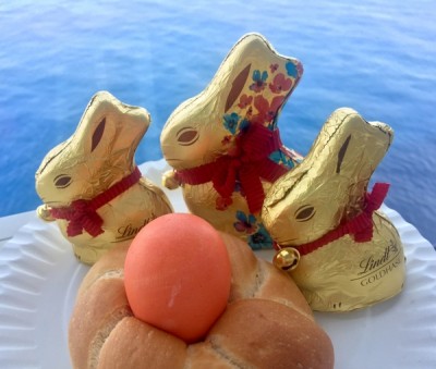 IMG_7038.jpg (116.38 KiB) 6578 mal betrachtet Osterüberraschung auf der Kabine