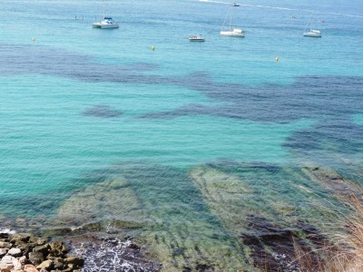 Klares Wasser gestern Morgen in El Portet