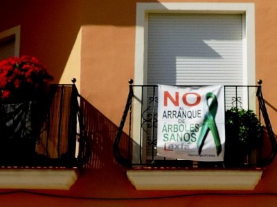 Die Landwirte wehren sich: &quot;No arranque de arboles sanos&quot; <br />(Reißen Sie nicht die gesunden Bäume aus!)