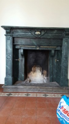 IMG-20170531-WA0005.jpg