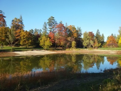 Bömbachsee 02.jpg