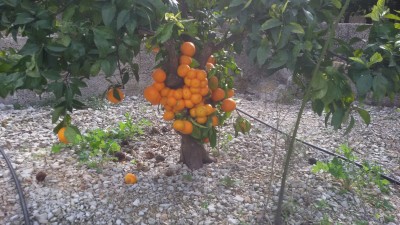 IMG-20181110-WA0000.jpg