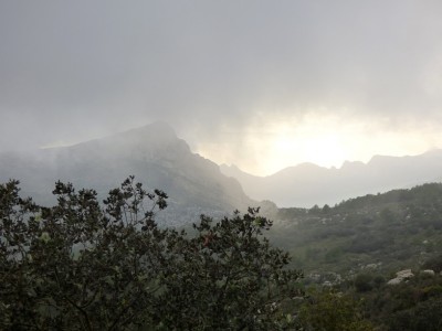 P1100266.JPG